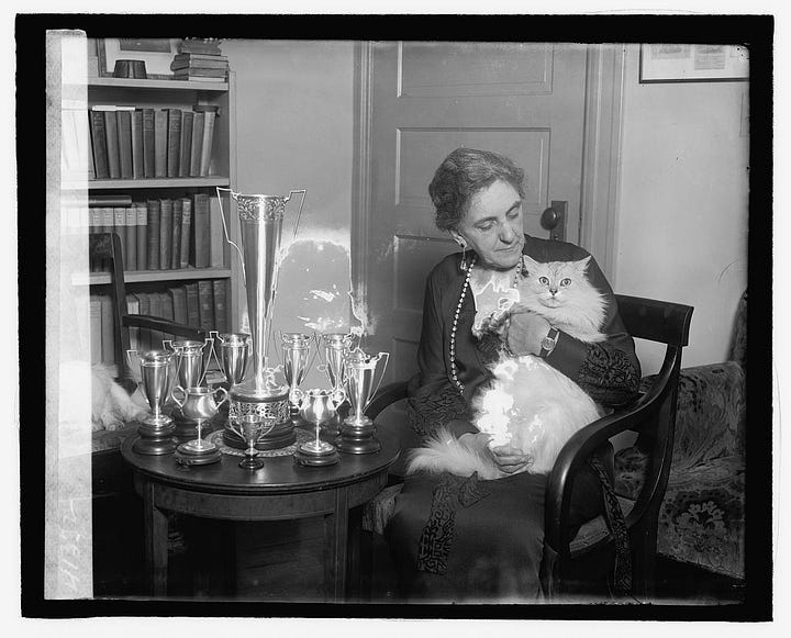 images of people and dogs and cats
