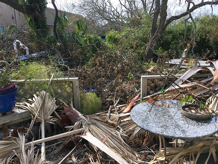 Photos of massive debris piles in my back yard: palm fronds, twisted metal, downed tree branches, and broken patio furniture.
