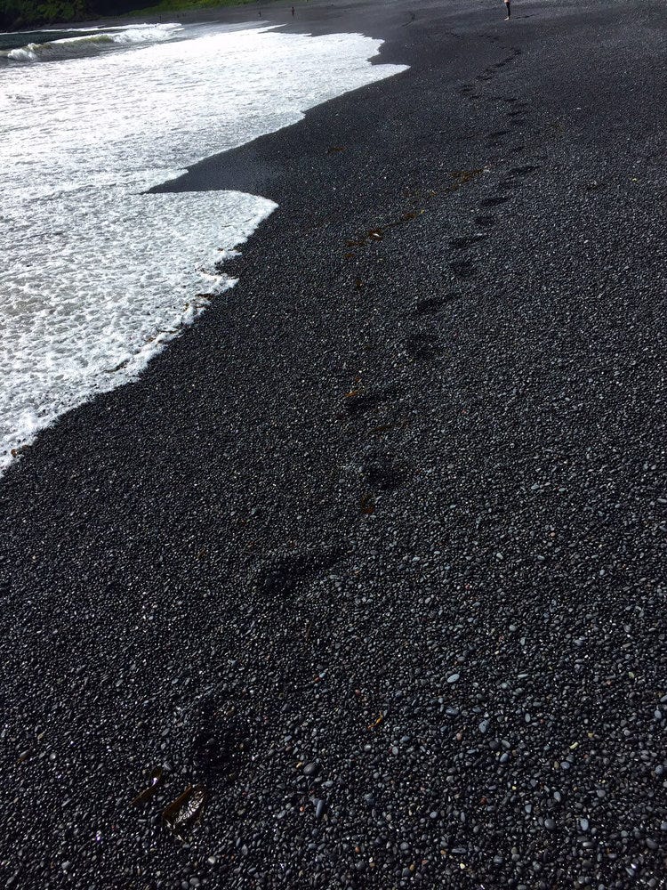 Black Sand Beach Vík, Iceland.jpg