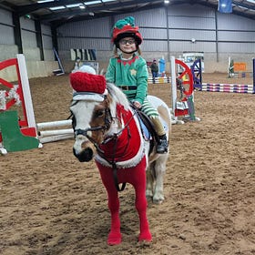 Festive theme at Knockagh View Christmas Show