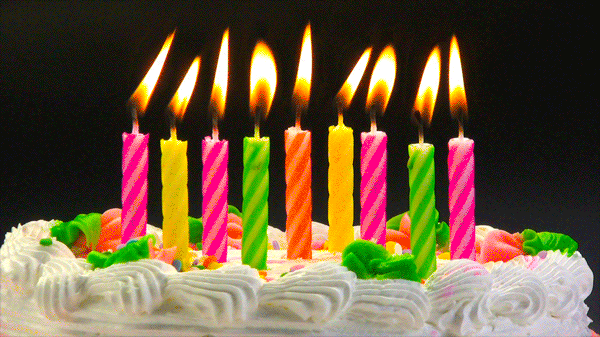 Birthday-cake GIFs - Get the best GIF on GIPHY
