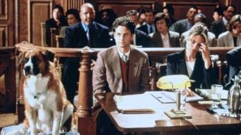 You Lucky Dog Movie Review | Common Sense Media