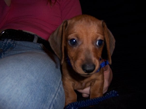 No photo description available.