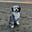 Jay's avatar