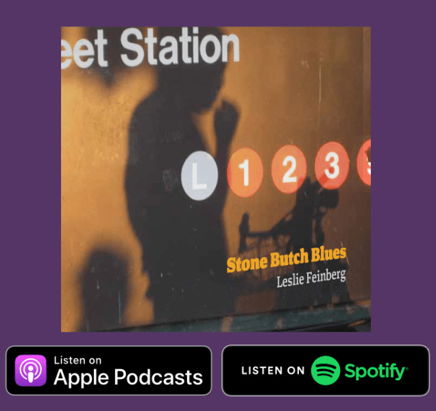 Stone Butch Blues book cover Stone Butch Blues book cover