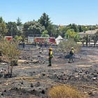 Desbroza y limpia tu parcela para evitar incendios este verano
