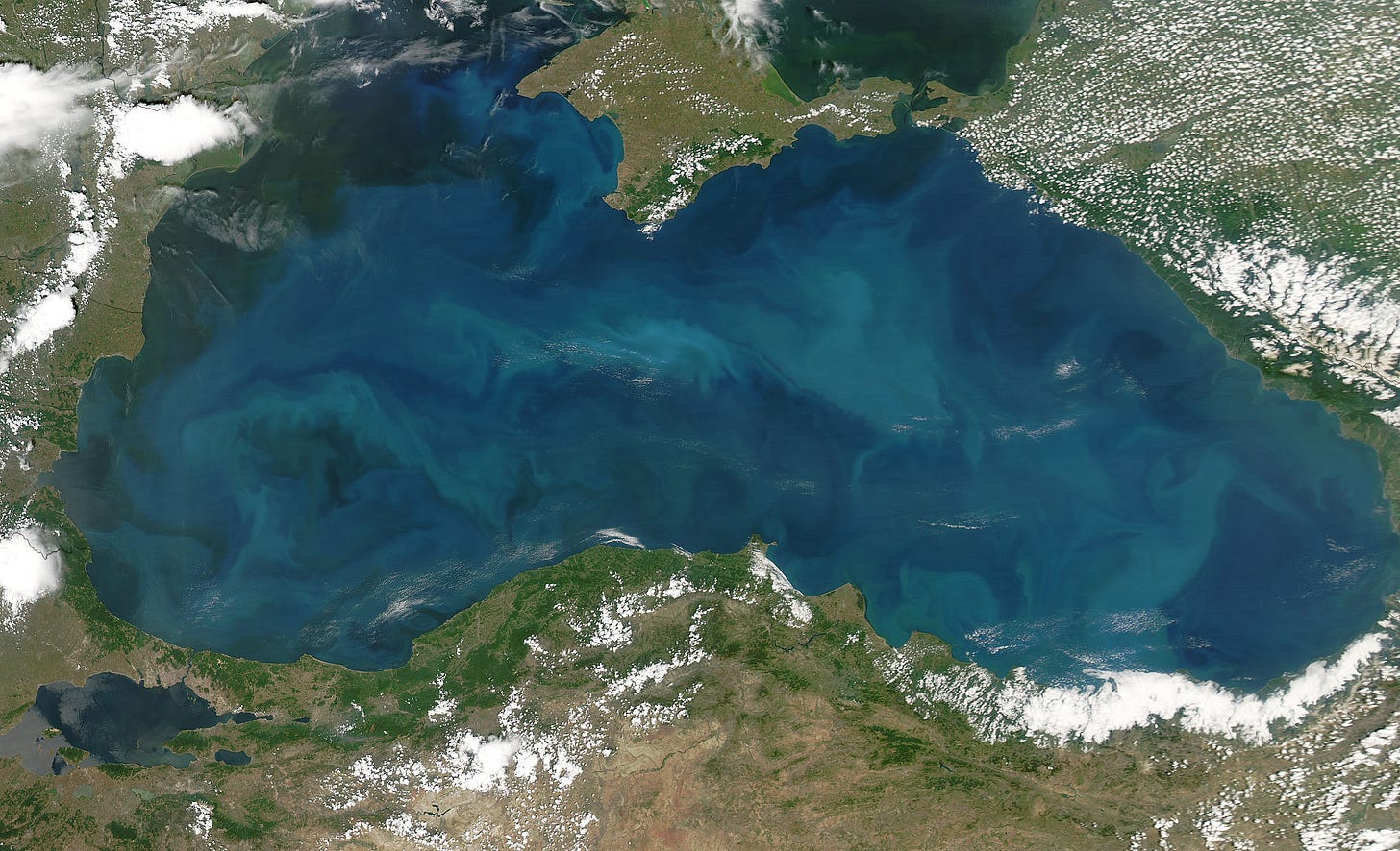 NASA Visible Earth: Phytoplankton Bloom in the Black Sea