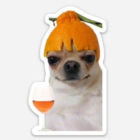 Shitty Wine Memes Orange Wine Dog Sticker – winklerandsamuels