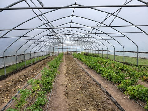 Scenes around the farm this week