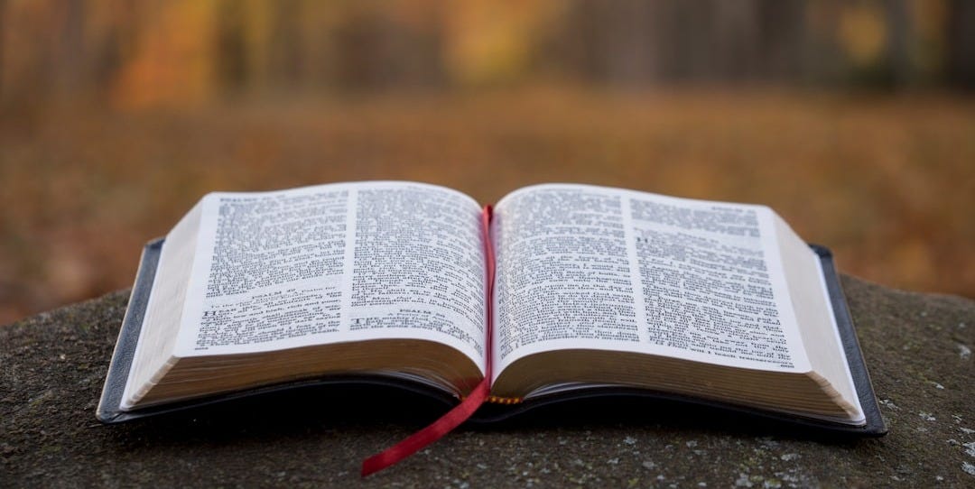bible page on gray concrete surface