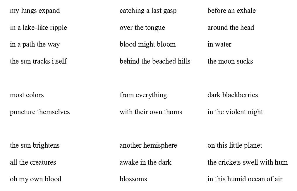 Today’s poem is uploaded as an image to preserve the spacing.