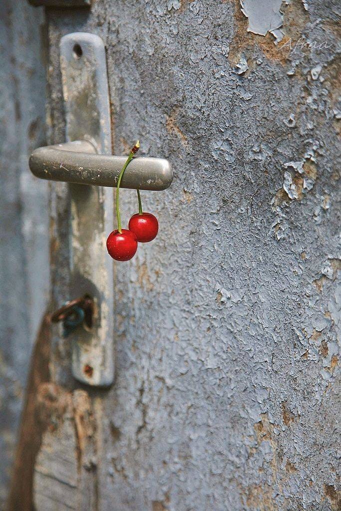 May be an image of cherries