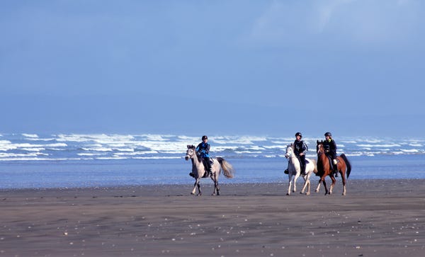 From left, Kimberley and Naseebah, Esther and Raffeah, and Robin and Kass. From left, Kimberley and Naseebah, Esther and Raffeah, and Robin and Kass.