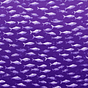 spicyneuron's avatar