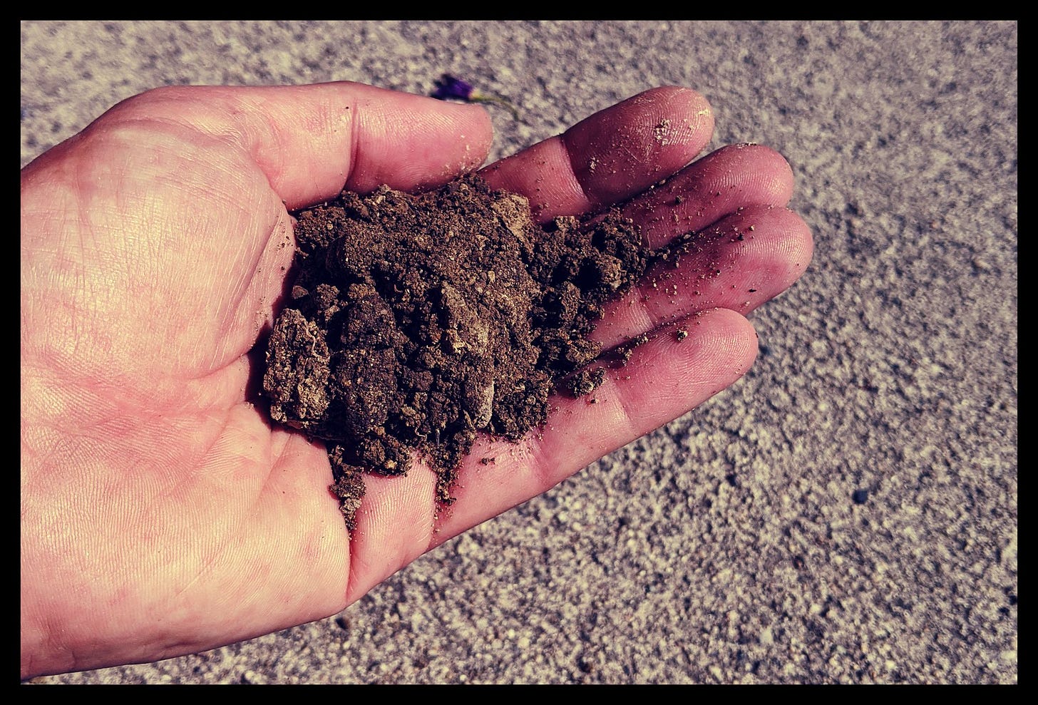Test your Soil Texture by Hand - by Chris Bell