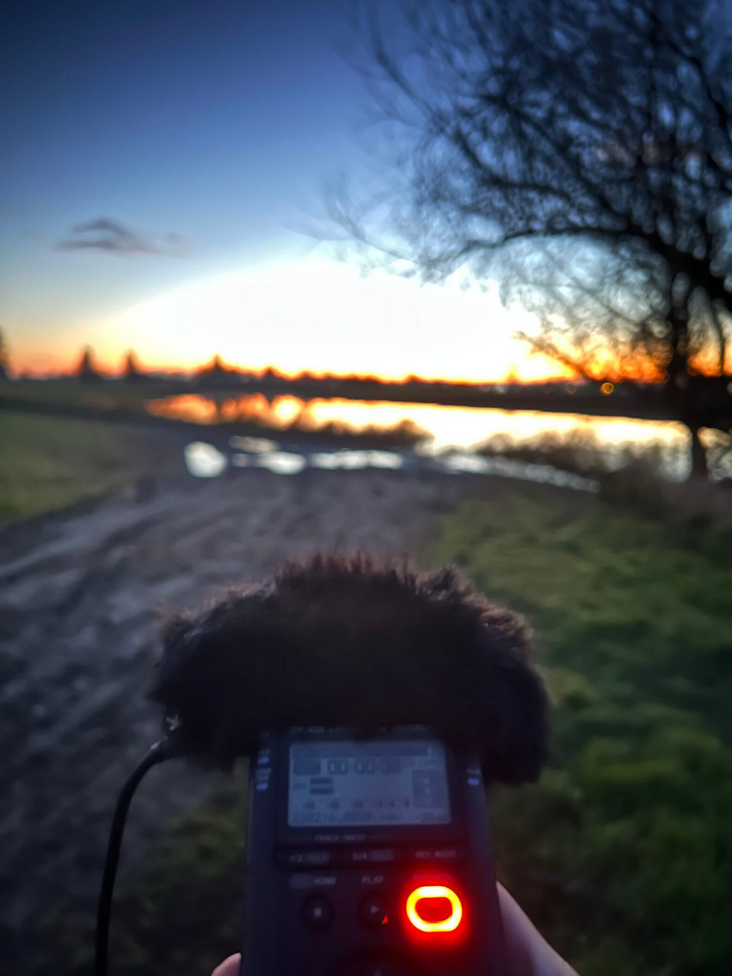 Graintable FieldRecording