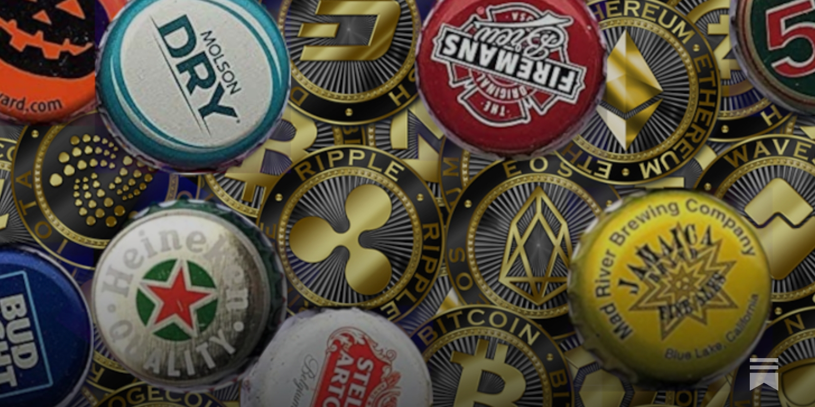 Cryptocurrency is a scam - by Chris Lang - REDD-Monitor