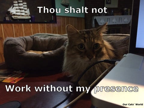 Chase Desk Work (lol) Chase Desk Work (lol)