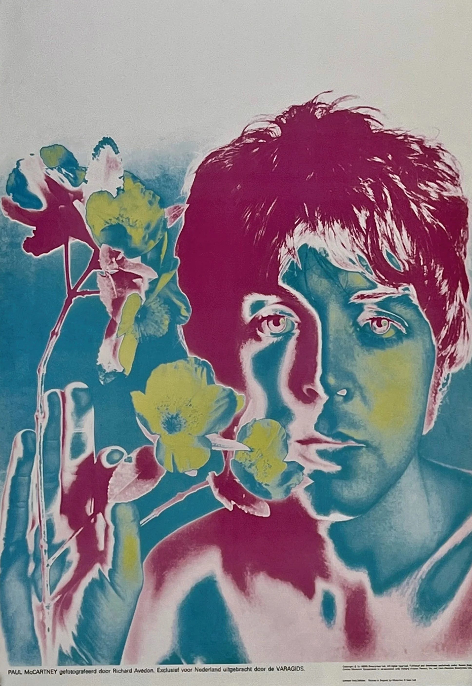 Happy birthday, Paul McCartney! - Robyn Hitchcock