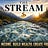 The Second Income Stream - Where Cash Flow Never Sleeps