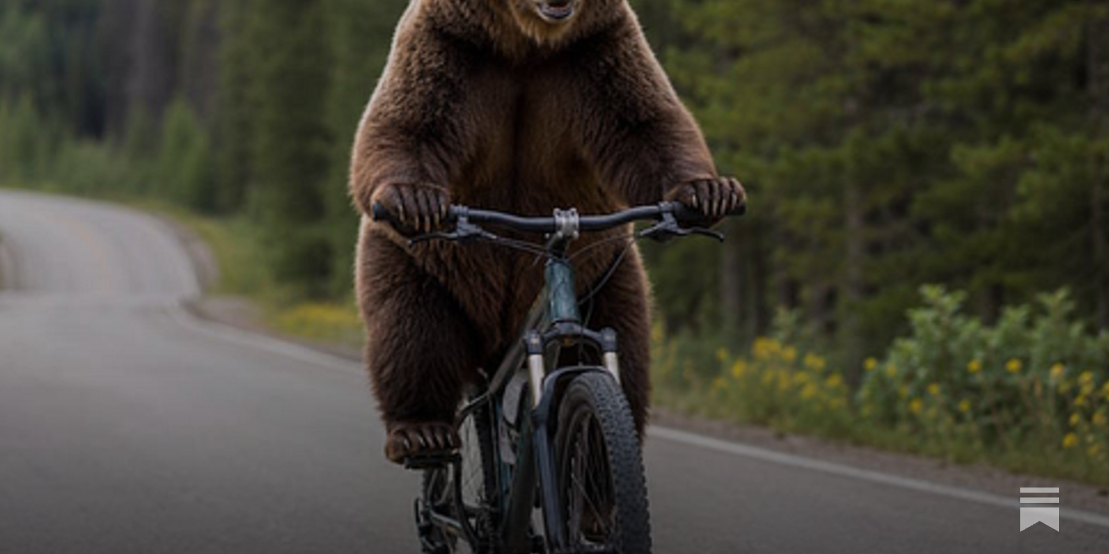 Roundup #84: Bears on bikes
