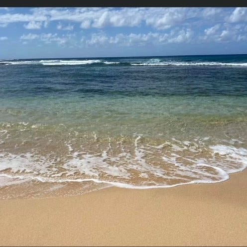 Preserving Kauai Substack