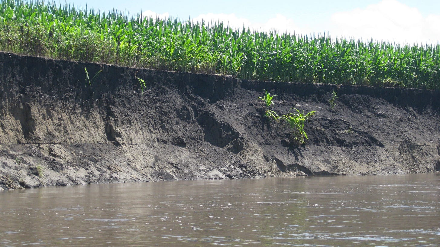 Guest Post: River Restoration – Iowa Learning Farms Guest Post: River Restoration – Iowa Learning Farms