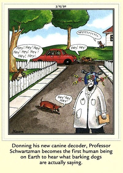 Image|Text