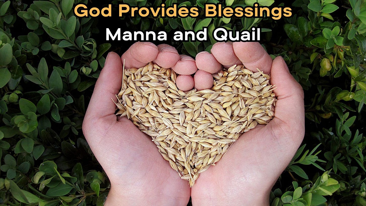 Two hands shaped like a heart filled with grains, surrounded by lush green foliage. A symbol of love for nature and growth. It includes the text: "God Provides Blessings: Manna and Quail"
