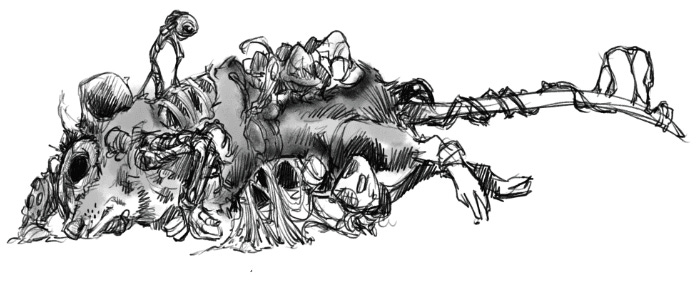 Effects of the Fungal Horror on a common mouse