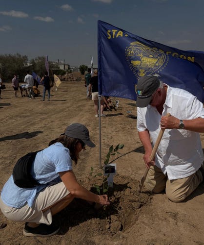 Planting a Tree