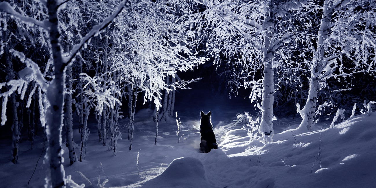 Belonging, Below Zero