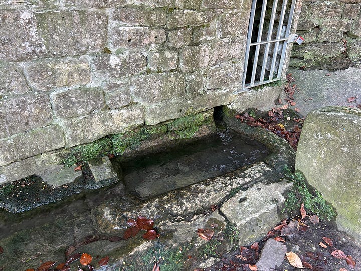 Here is a spring which flows into a series of hand-cut stone troughs. It provided the drinking water for the village of Turleigh for many years and water for the mill and brewery. Image: Roland Millward