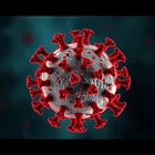 THE VIRUS THE MEDIA HALF-EXPLAINED