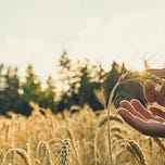 Home Base with Jeff Warren