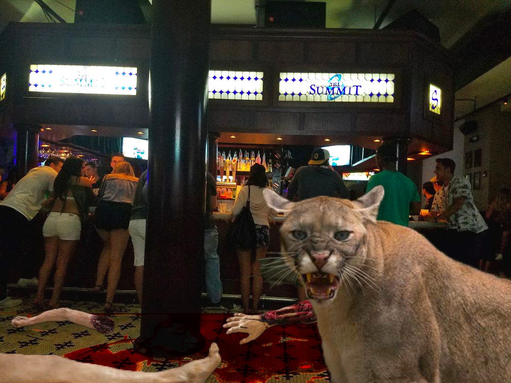 cougar