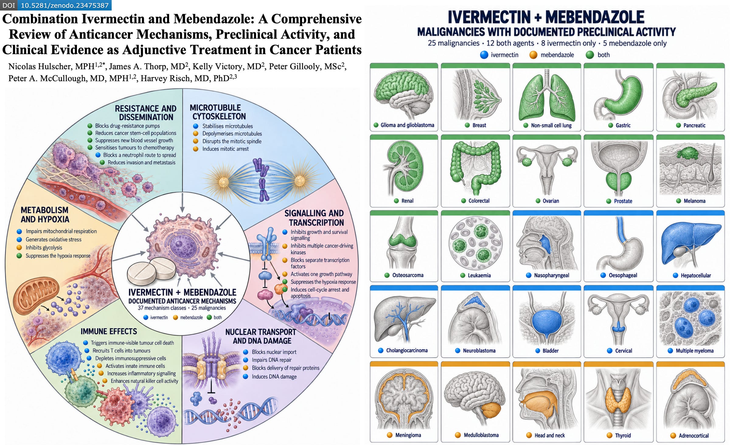 BREAKING: The Most Comprehensive Ivermectin–Mebendazole Cancer Paper to ...