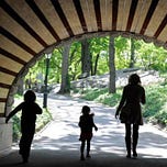 Midnight Mass News by Mike Crawford