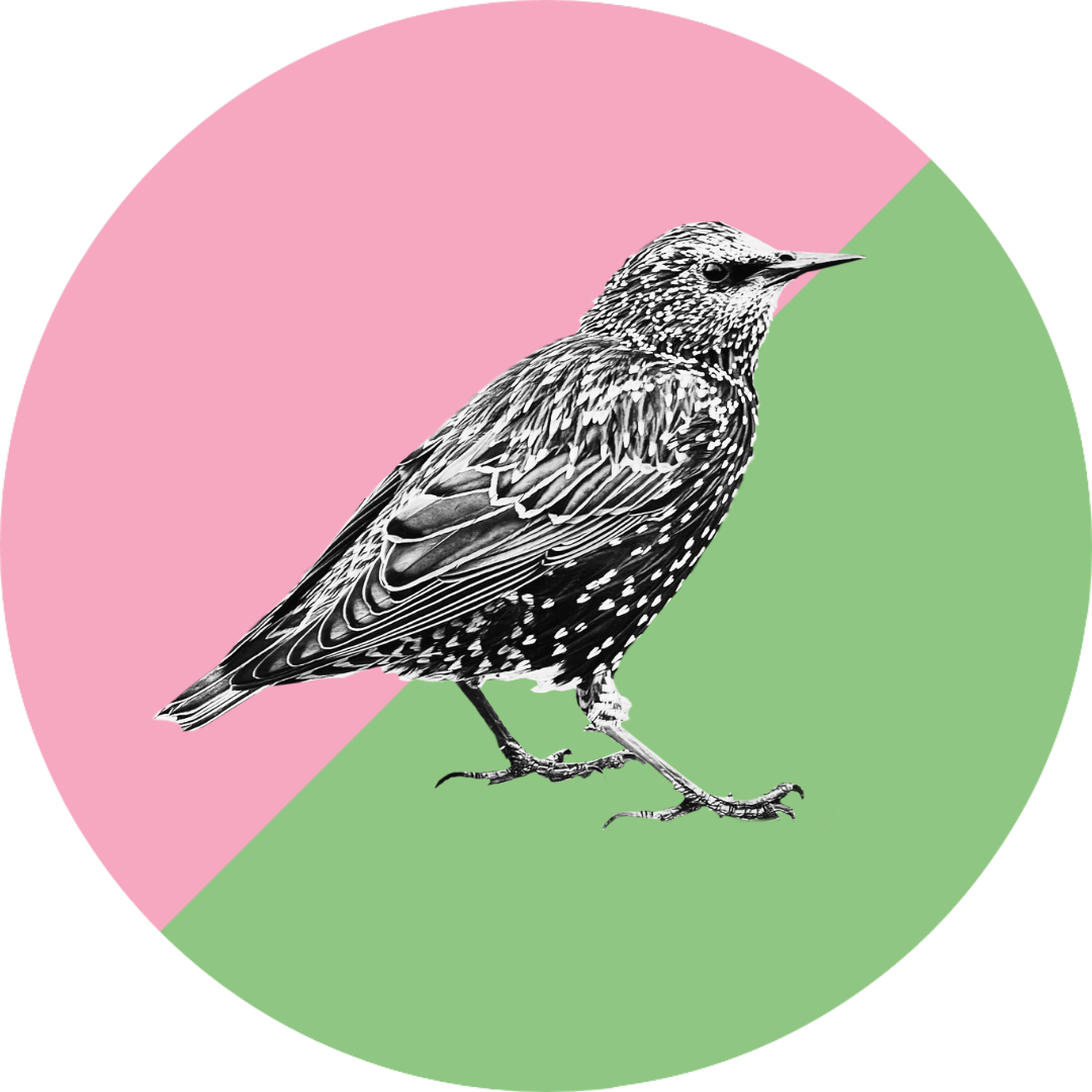 Radical Queer Ecology