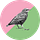Radical Queer Ecology