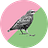 Radical Queer Ecology