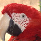 User's avatar