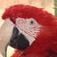 User's avatar