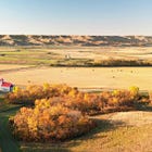OP-ED: Releasing crown land can help solve Canada's housing crisis