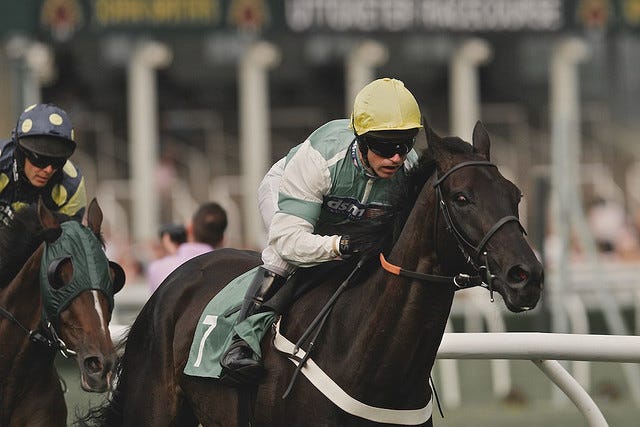 Get Ahead Get Ahead (Horse race photo)