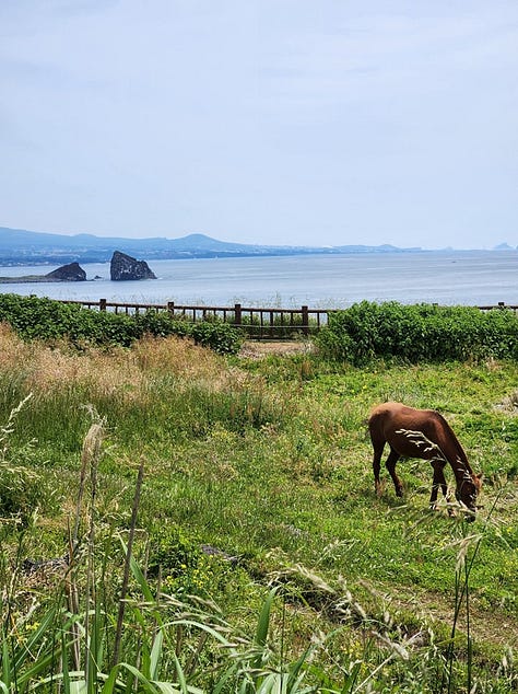 "Mayor" Jenna around some of her favorite locations in Korea including at the base of Sanbang Mountain, overlooking wild flowers in Seoul, looking out into the ocean, and looking down at a traditional Korean seafood meal in Mokpo, the city where she was borh