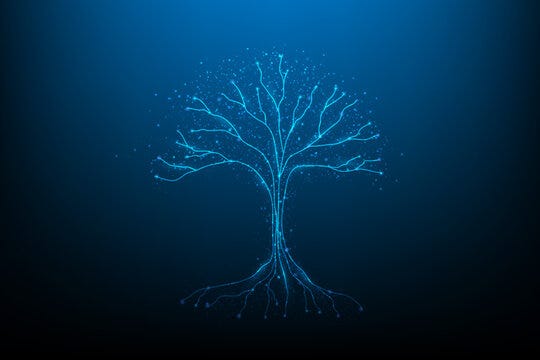 Digital Roots Images – Browse 6,301 Stock Photos, Vectors, and Video |  Adobe Stock