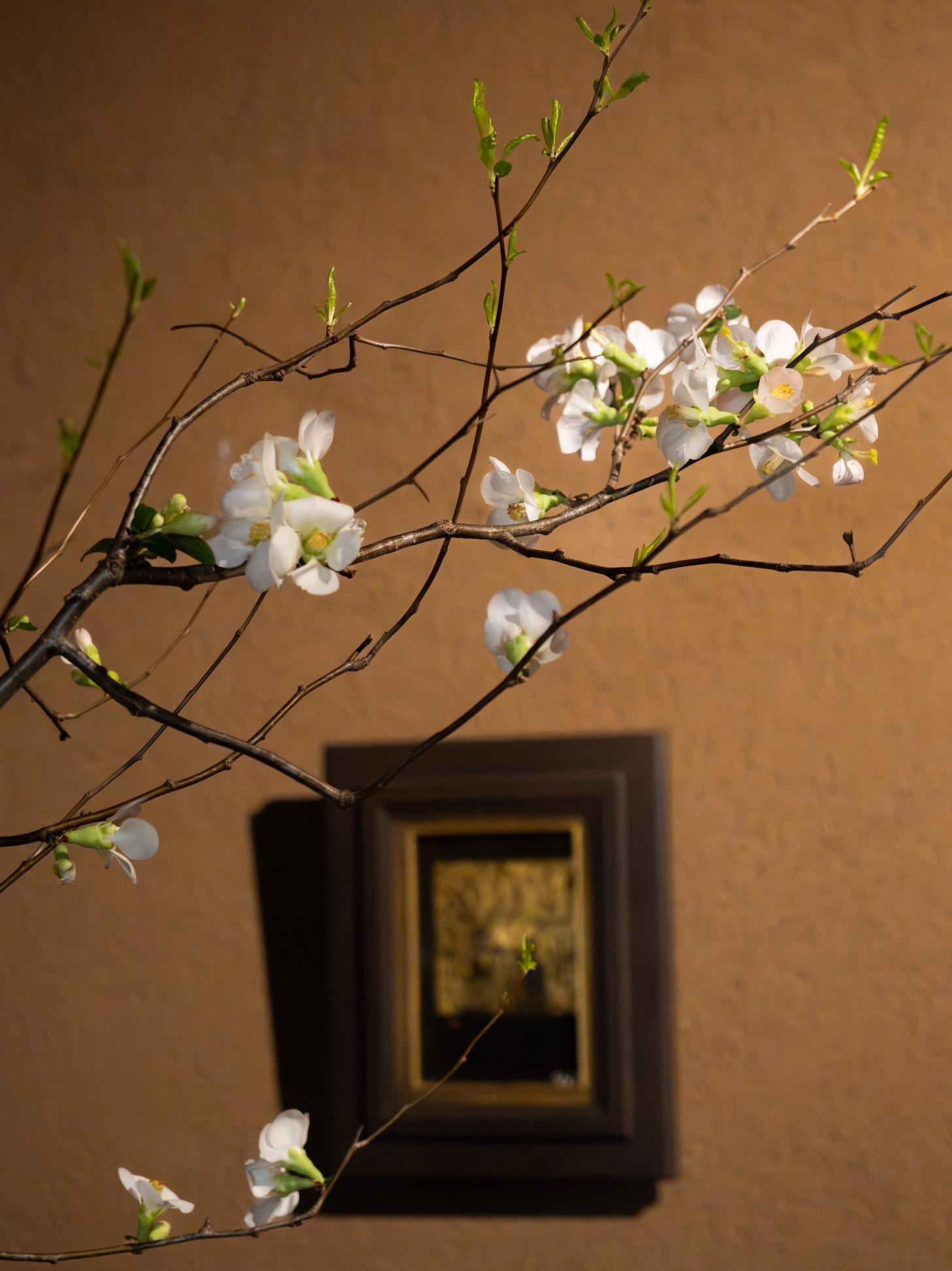 Flowering tree branches in front of a blurry painting.
