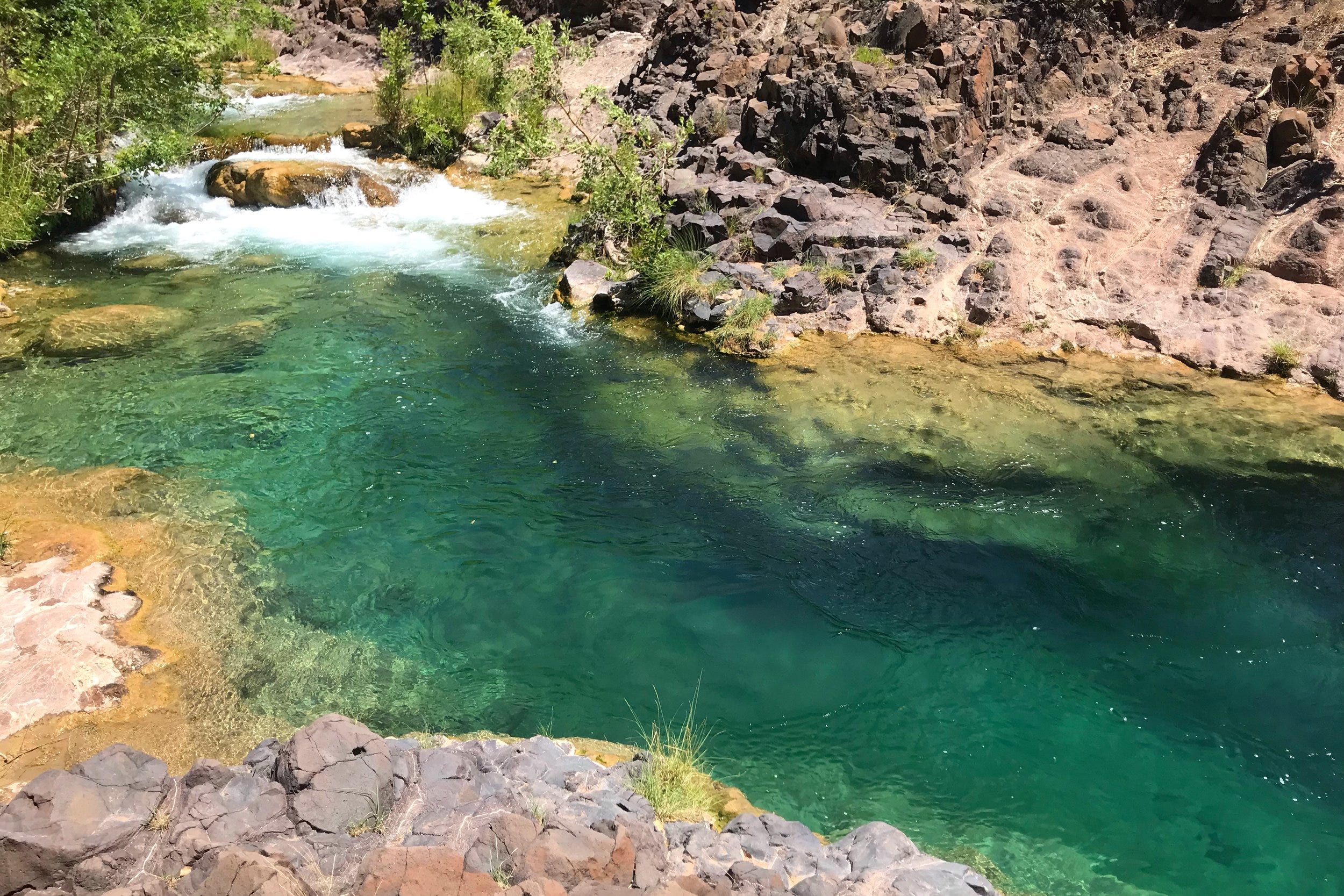 I Grew Up Swimming in a Spring - by Joseph Holway