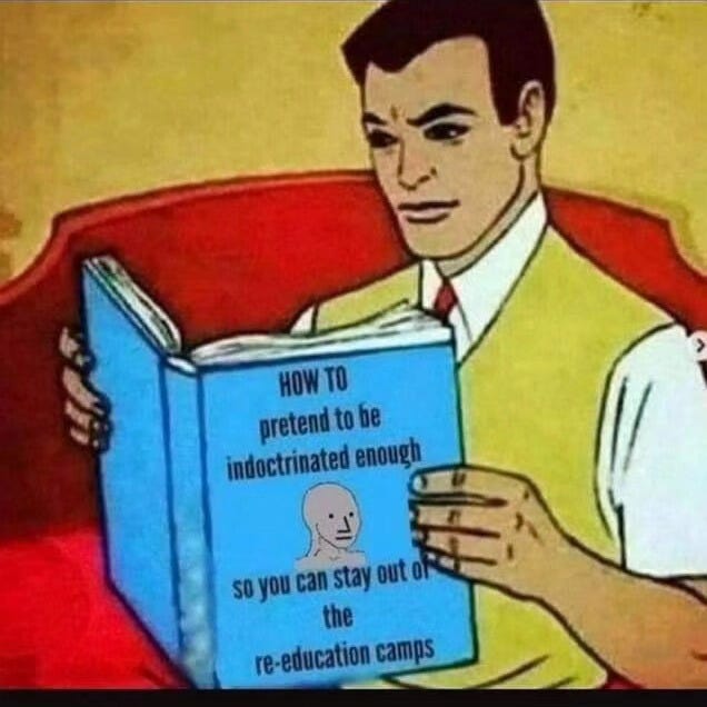 May be an image of text that says 'HOW HOWTO TO pretend to be indoctrinated enough you the re-education camps'